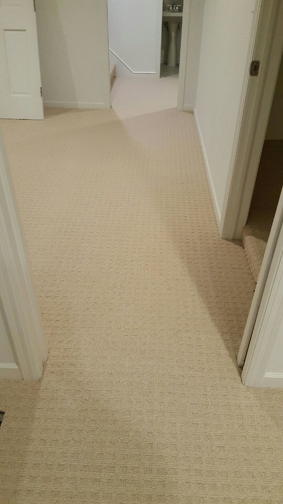 Photo of a mid-sized traditional hallway in Minneapolis with white walls and carpet.