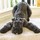 caroline_sarson