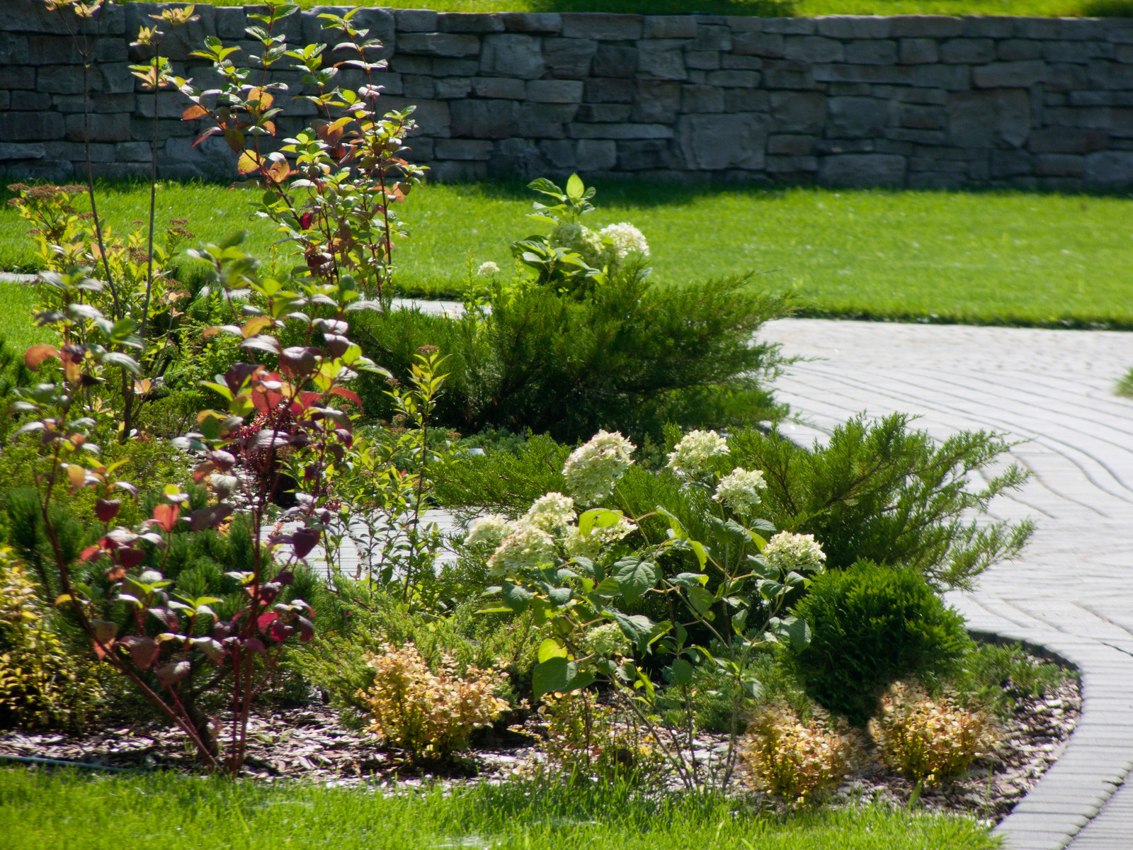 Зеленый сад