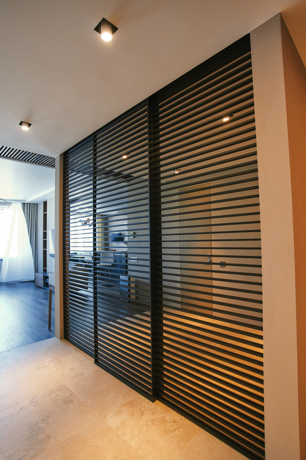 Подвесные двери raumplus с накладными разделителями S1200 Air