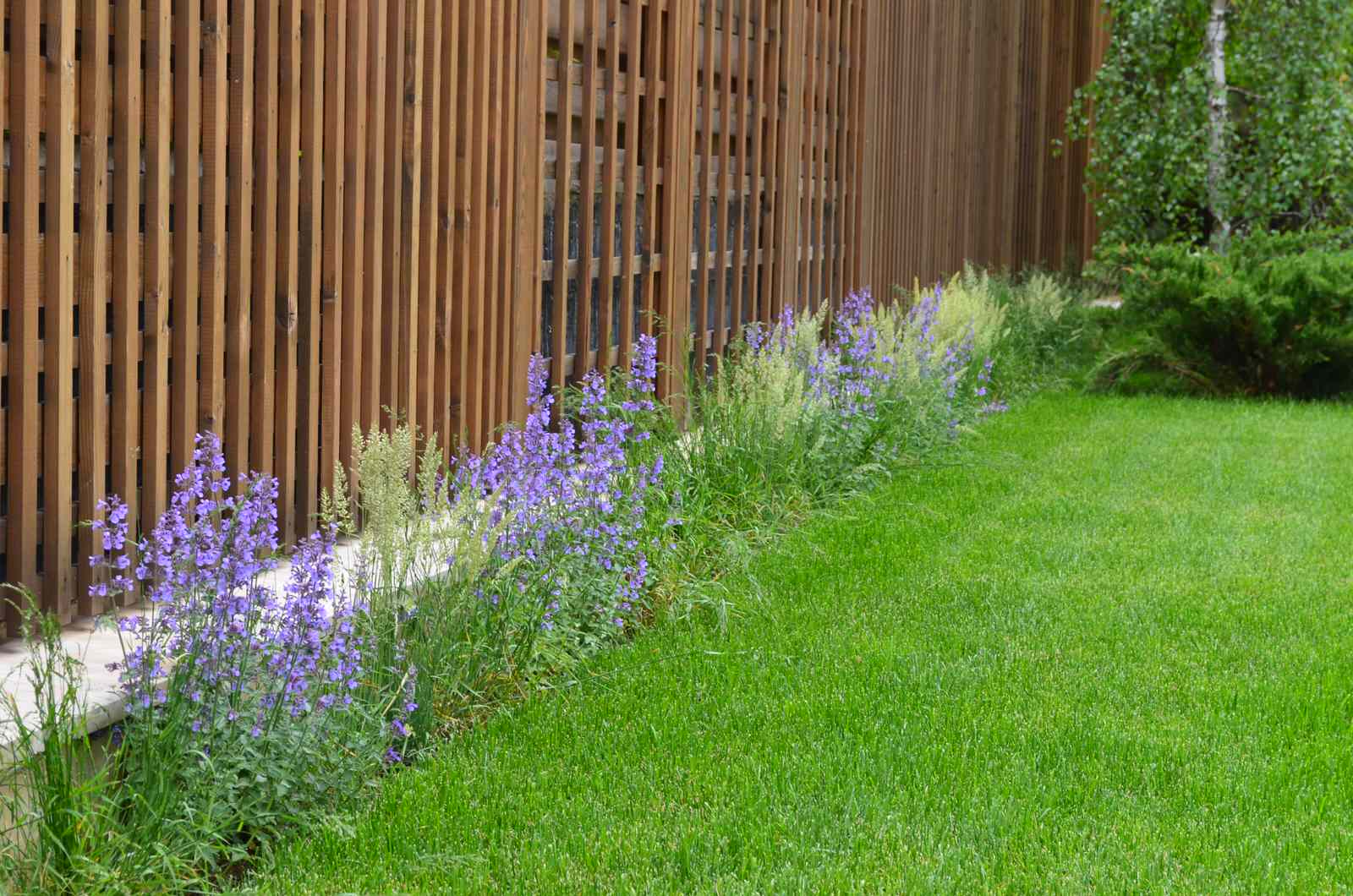 Выполненные проекты