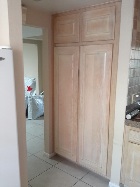 PINGEL PROJECT transitional