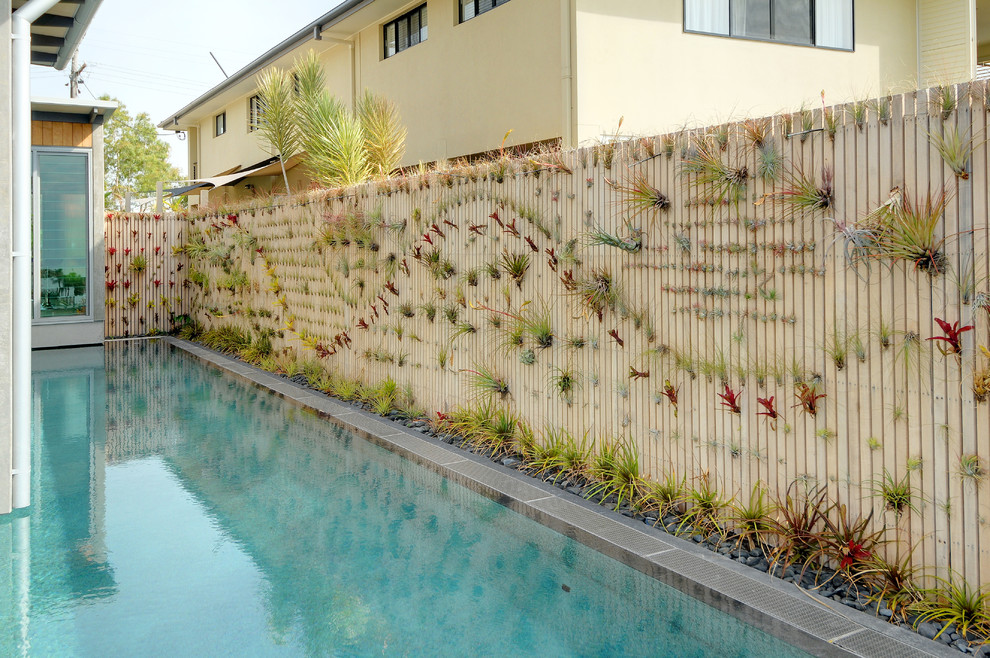 This is an example of a contemporary garden in Sunshine Coast with a vertical garden.