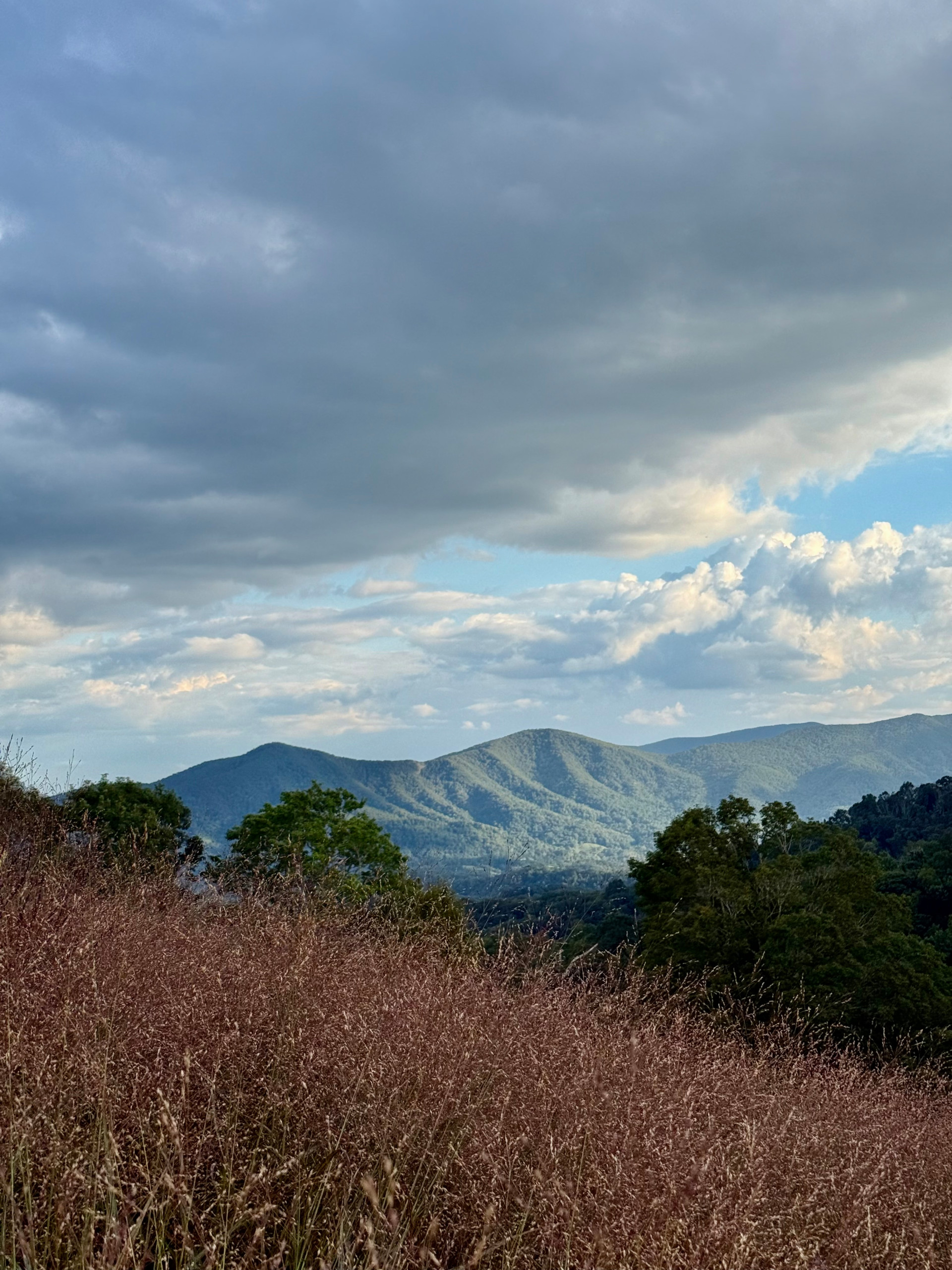 Mountain Top Magic