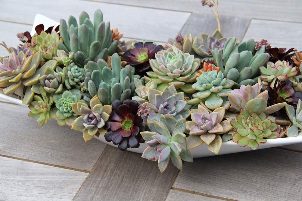 Design ideas for a landscaping in Seattle.