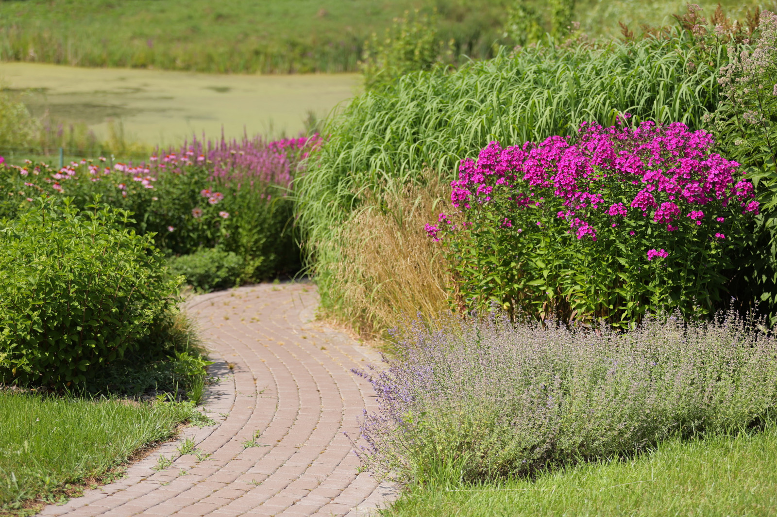 Якшино. Осень 2019