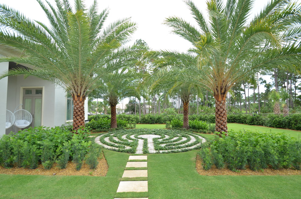 Design ideas for a tropical backyard garden in Miami.