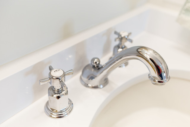 Williams Remodel transitional-bathroom
