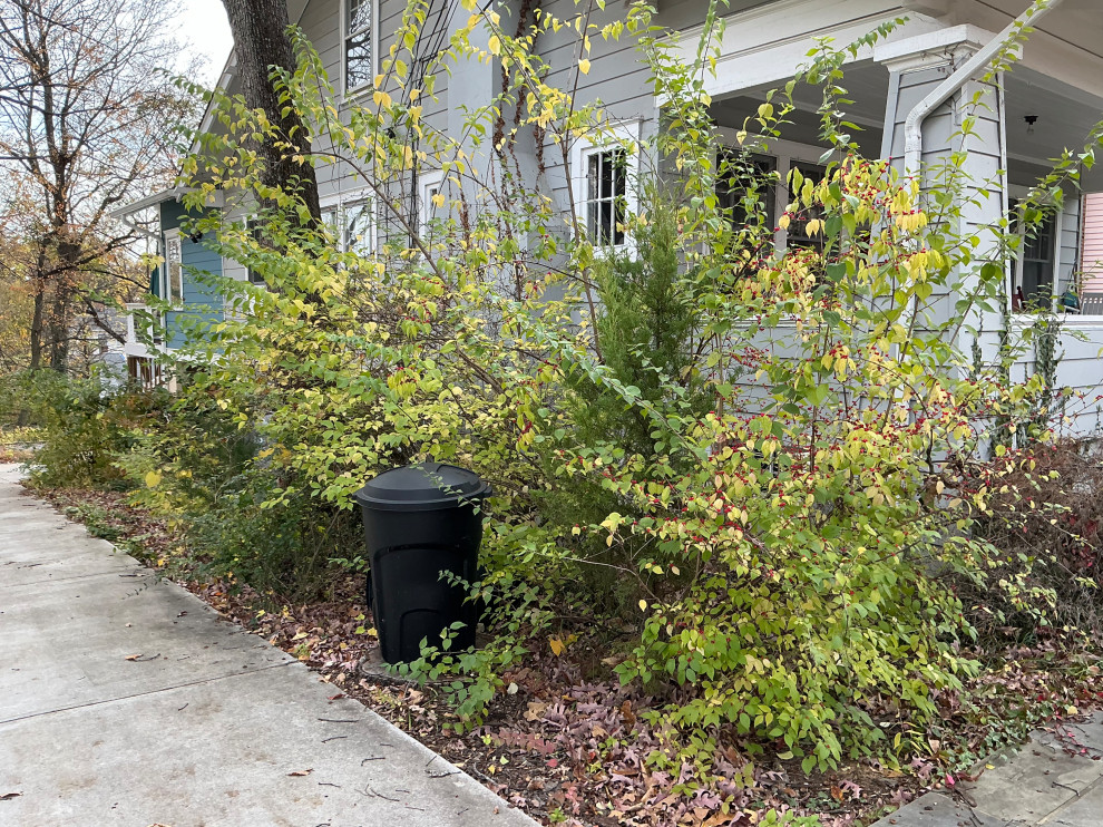 Deep cleaning and invasives removal