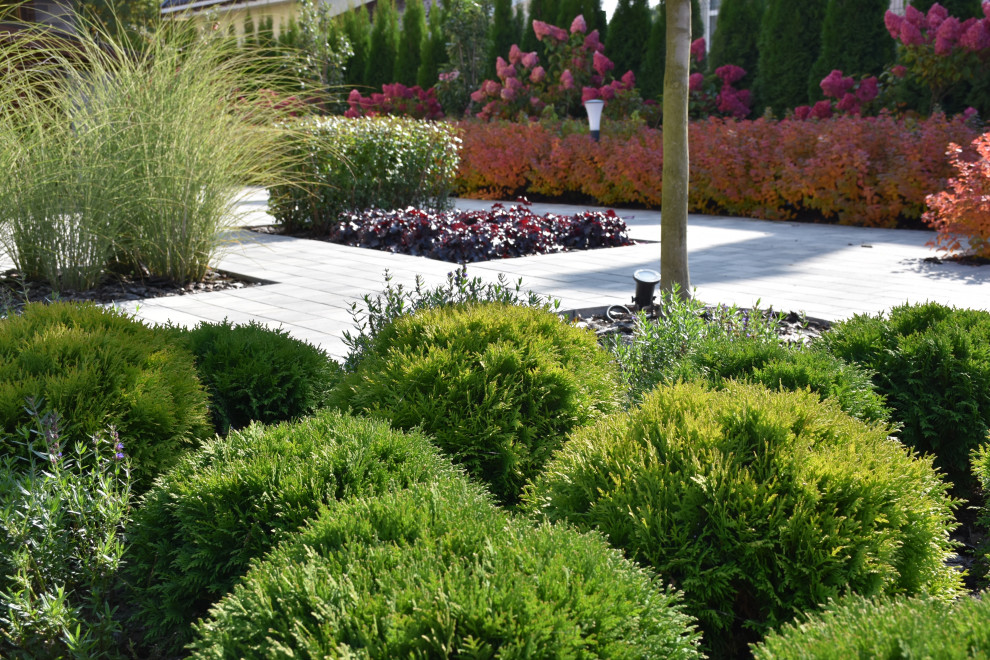 Игра в геометрию