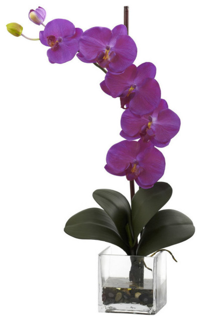 Giant Phalaenopsis Orchid With Vase Arrangement, Orchid
