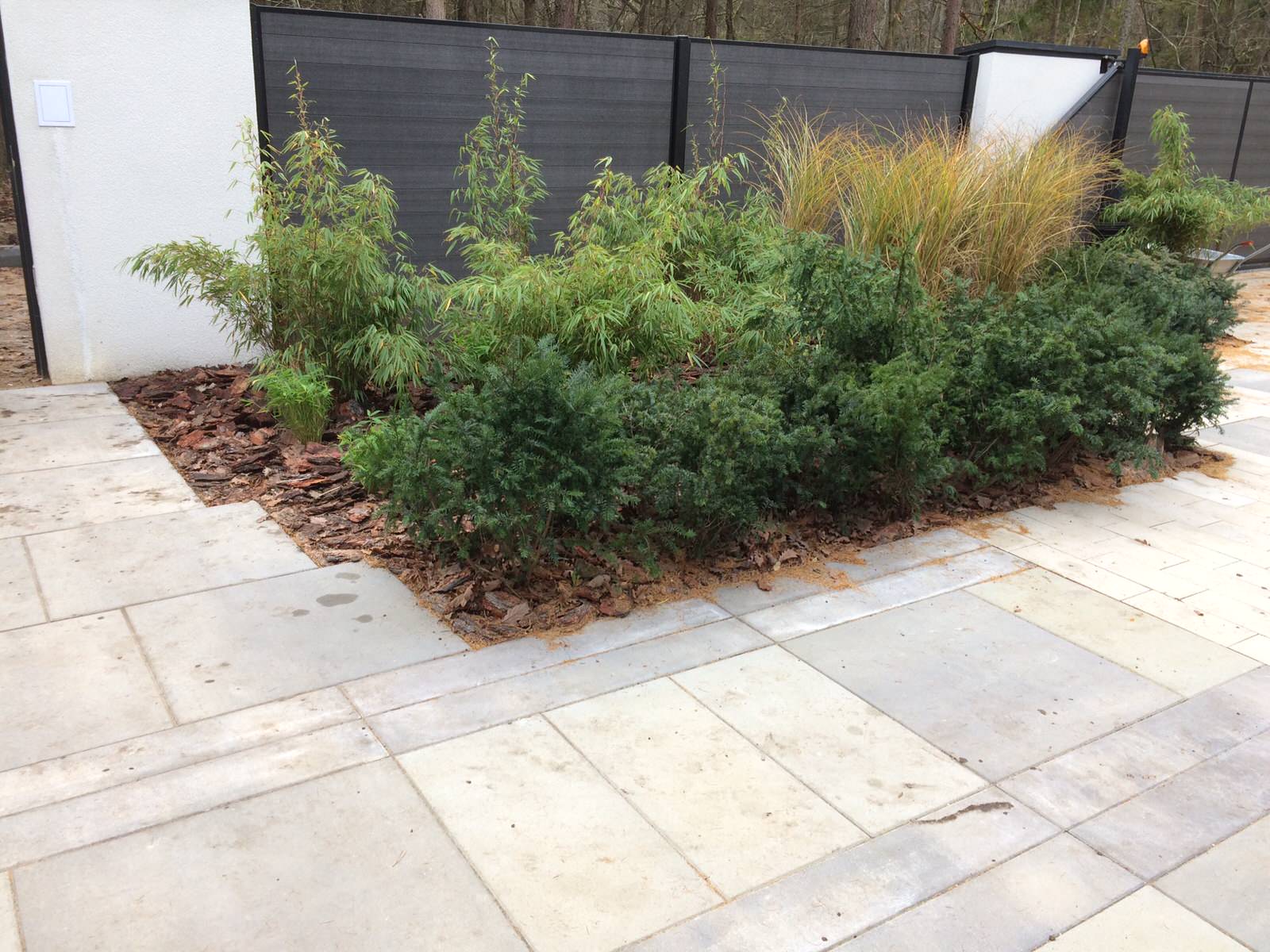 Сад в Светлогорском лесу