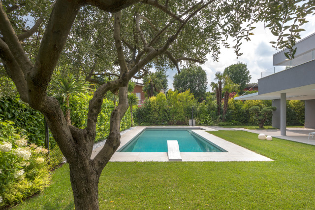 Villa M modern-garten