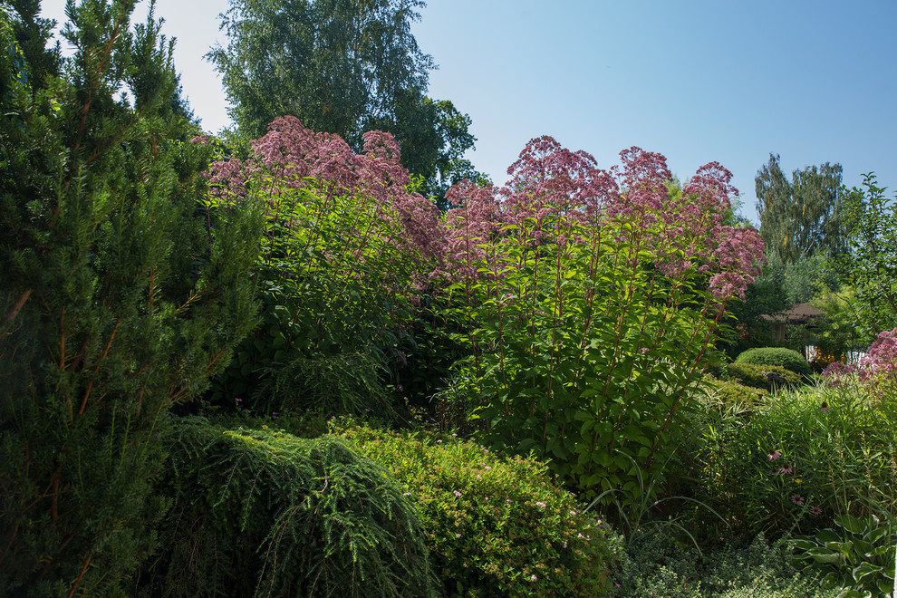 Garden of Elena Astashkina in Moscow Region
