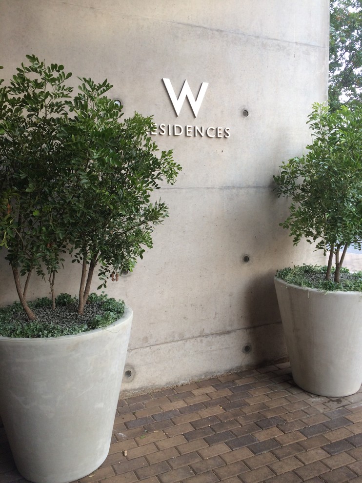 W Residences