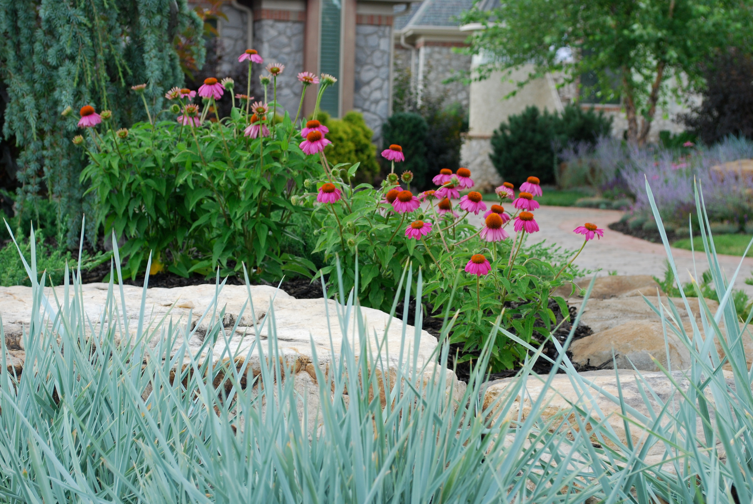 BSR Project Revisited 8 months later. By Sifford Garden Design