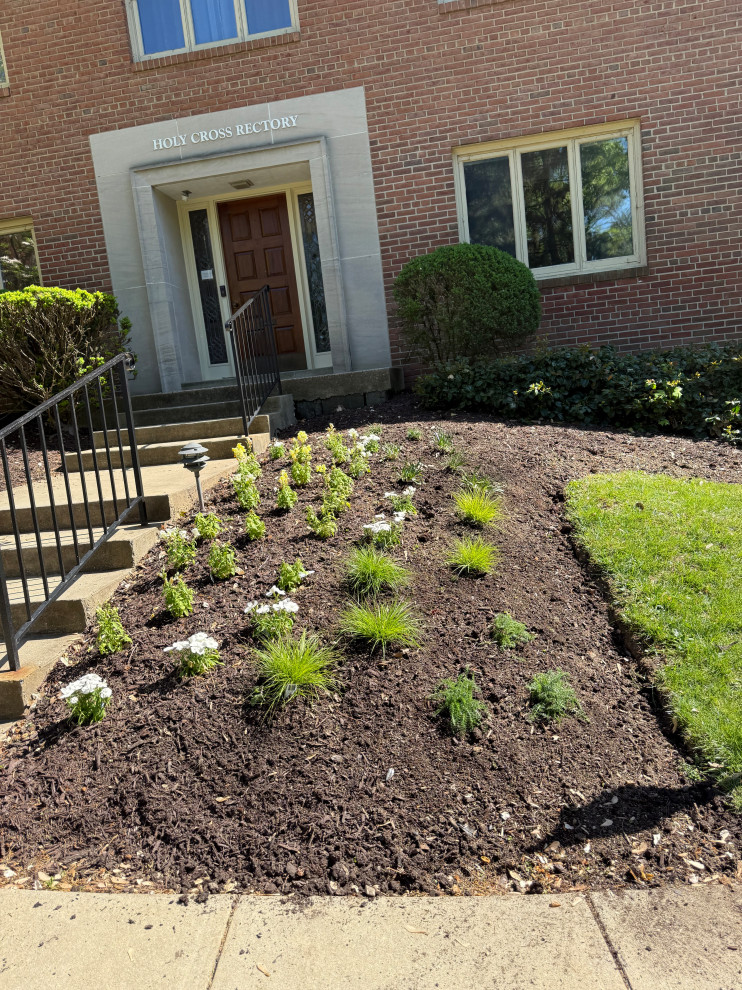 Native plants