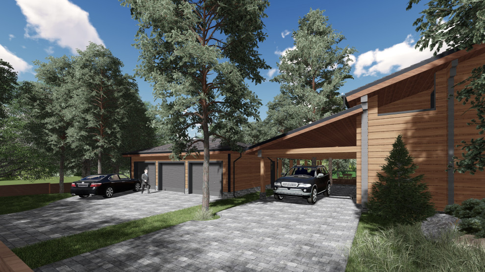 Лесная рапсодия