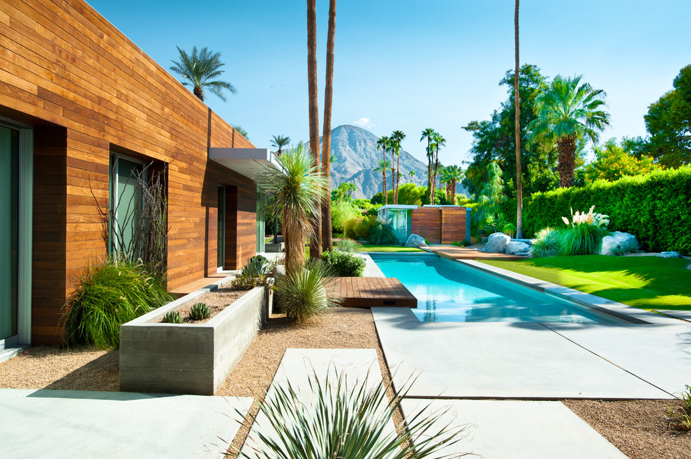 This is an example of a modern pool in Los Angeles.