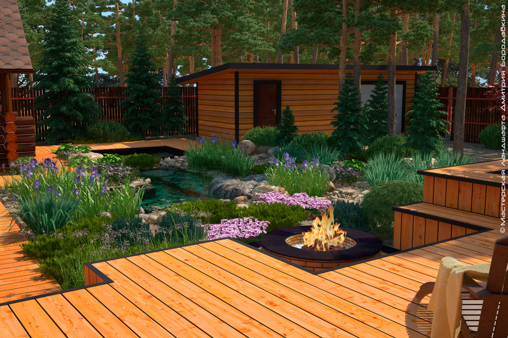 Утро в сосновом лесу