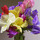 Last commented by lyannastarknola