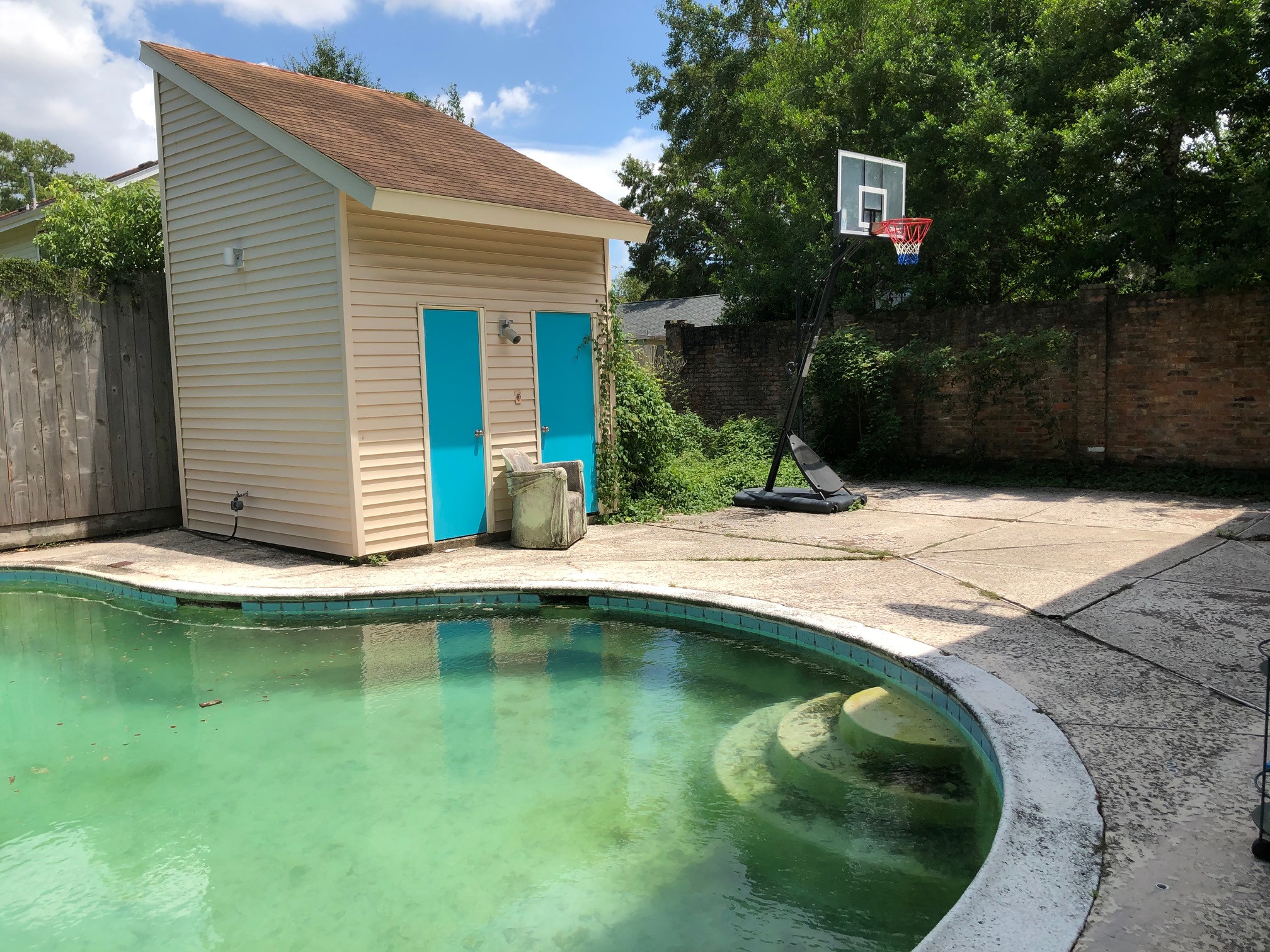 Saturated Backyard Renovation