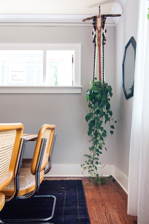 室内に観葉植物の新定番 目から鱗の吊り下げプランター実例31選