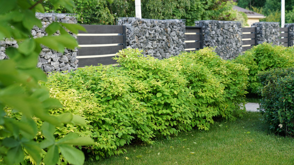 Вспоминая Нормандию КП Визендорф 2017 г