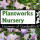 Plantworks Nursery