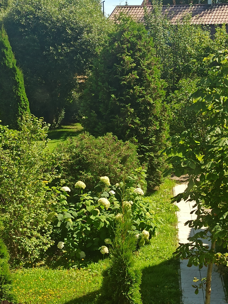 Ландшафт сада в 6 соток.