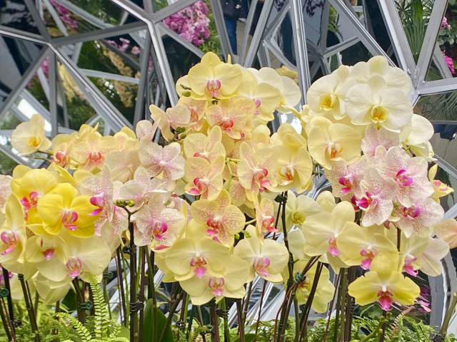 Solar Powered LED Moth Orchid Phalaenopsis Flower Pot Plant Light Home Garden 