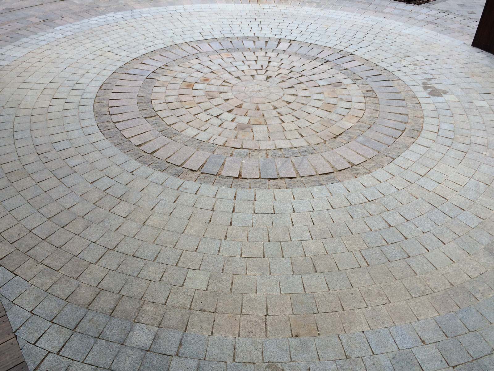 Духанино, 2015