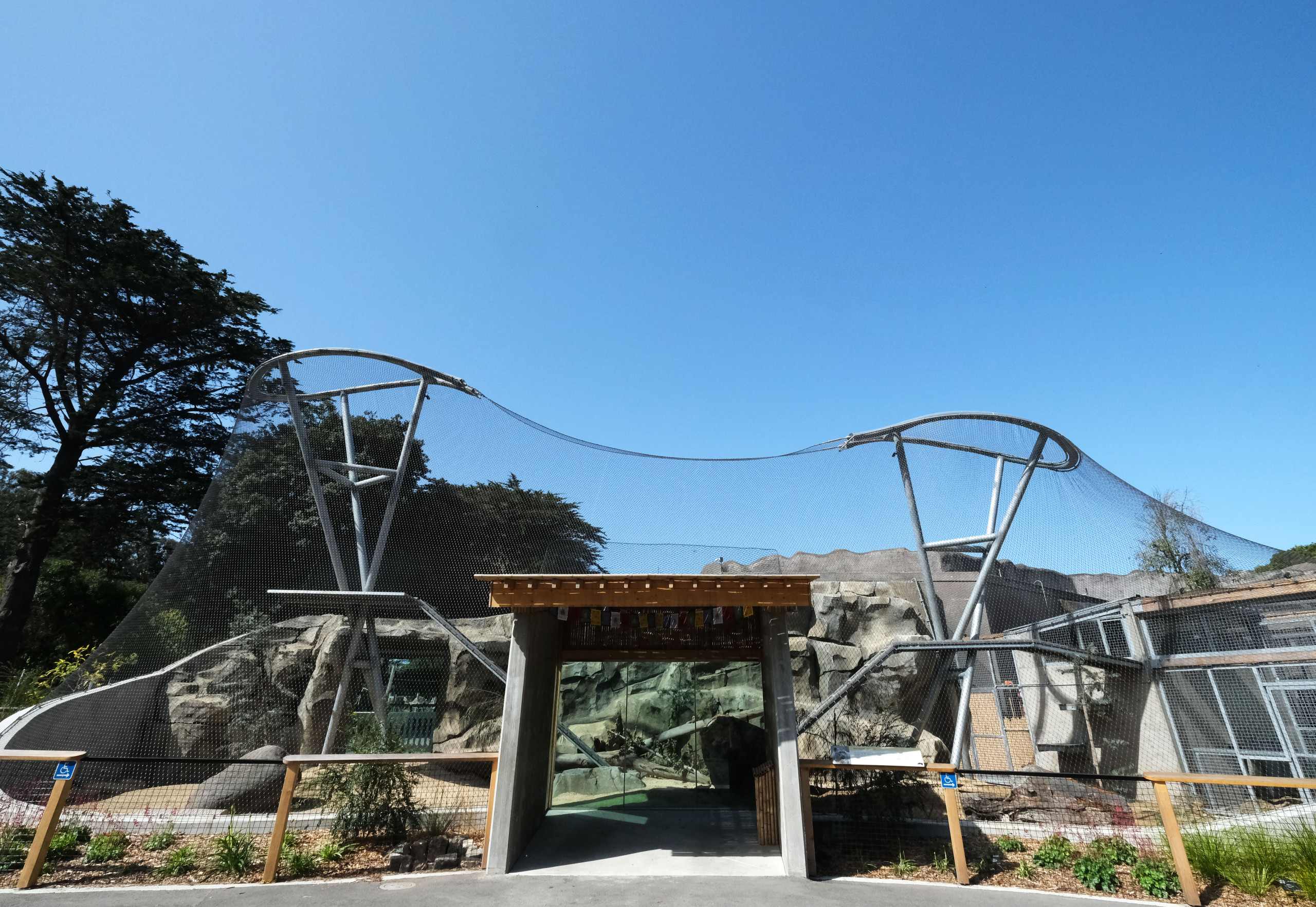 Snow Leopard Habitat