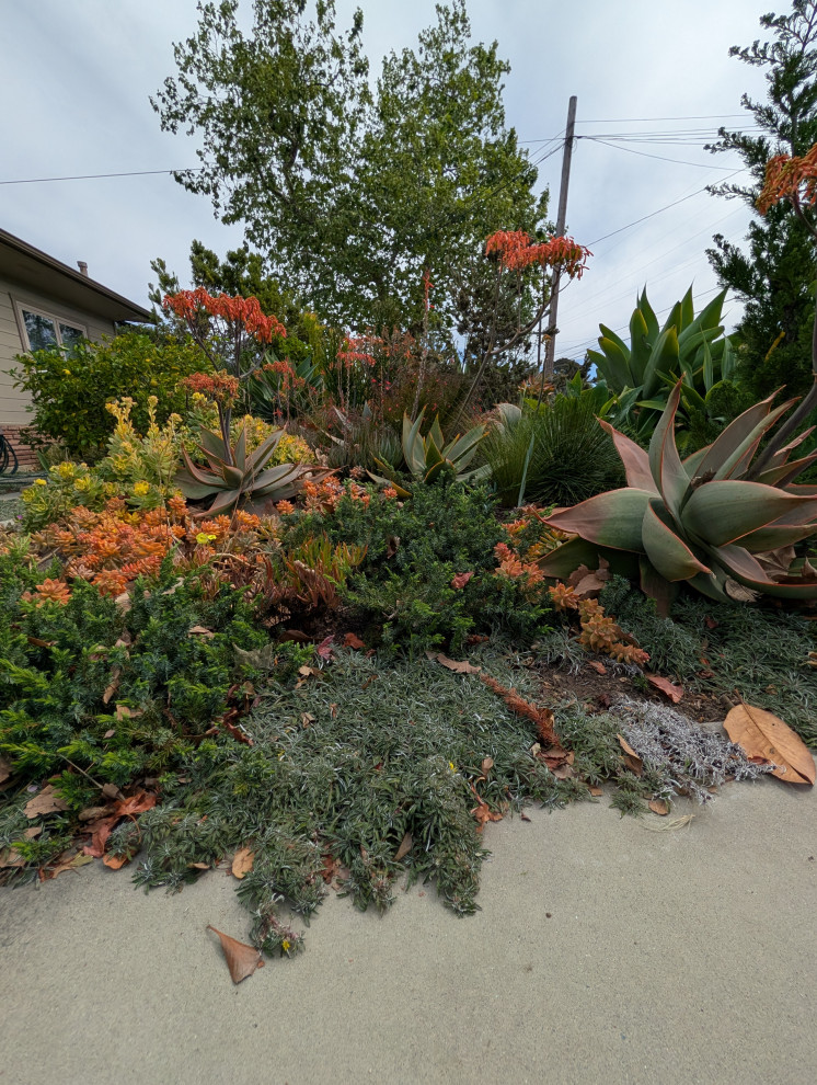 An Artist's Garden