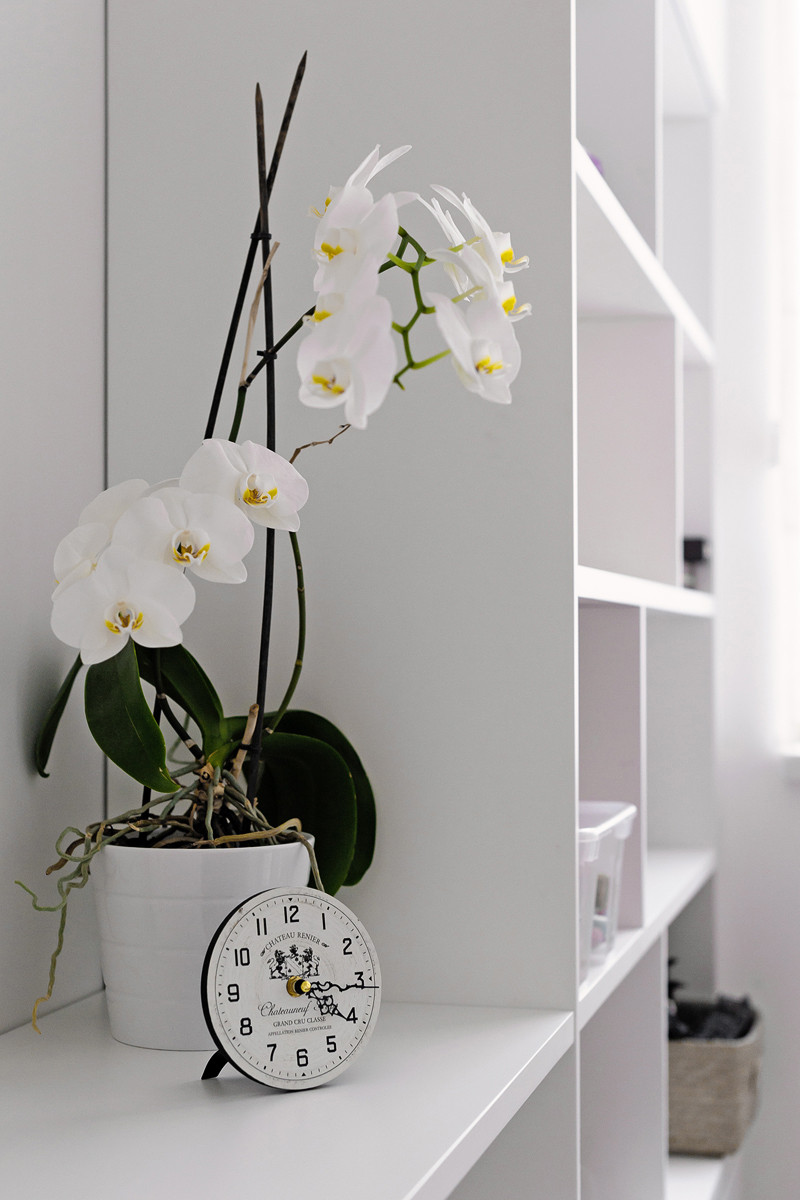 Белоснежная квартира в центре Санкт-Петербурга