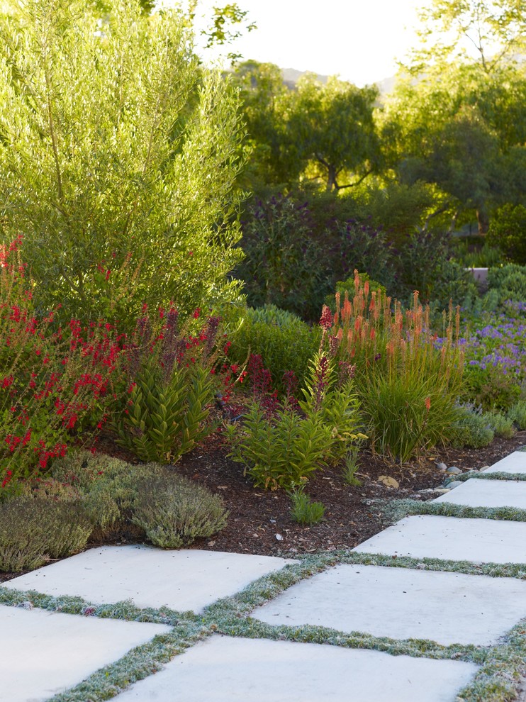 Design ideas for an australian native mediterranean backyard garden for fall in San Luis Obispo.
