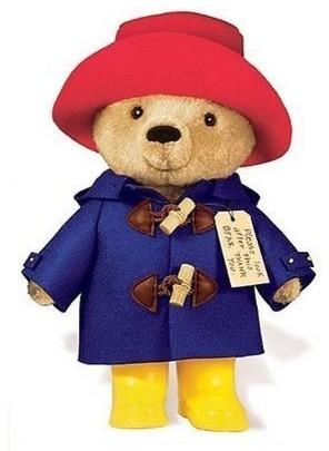 teddy bear raincoat