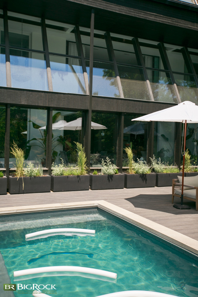 Esempio di una piscina monocorsia design rettangolare di medie dimensioni e dietro casa con paesaggistica bordo piscina e lastre di cemento