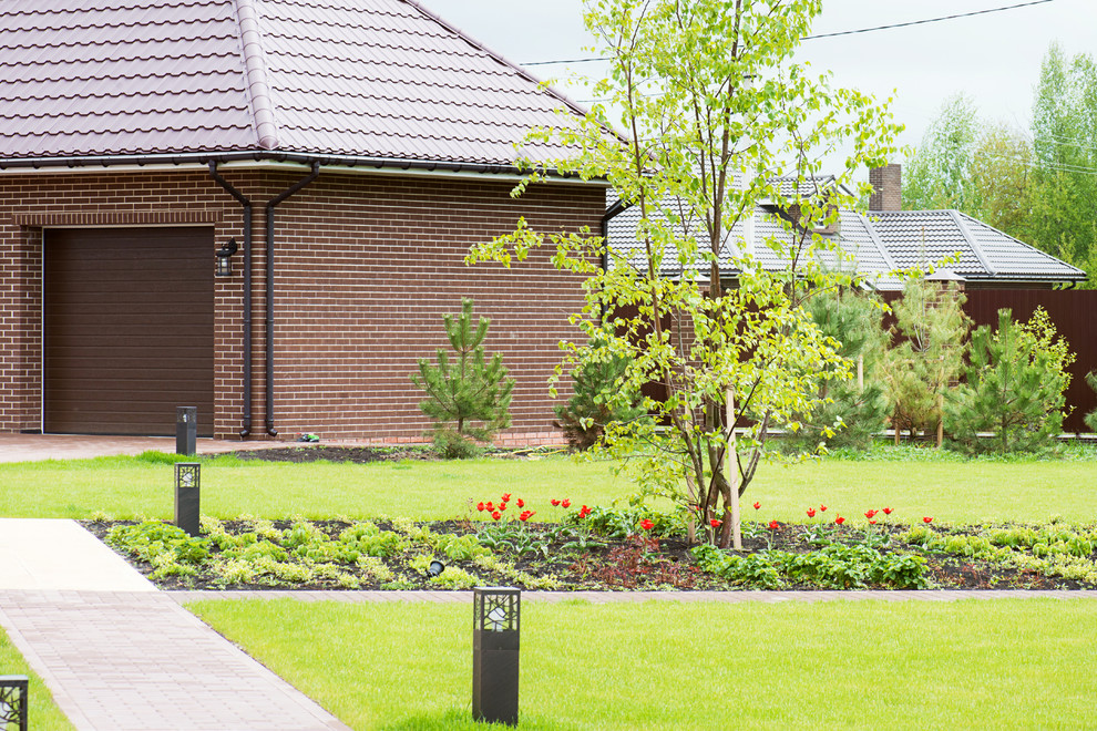 Первая весна в саду "Красный октябрь"