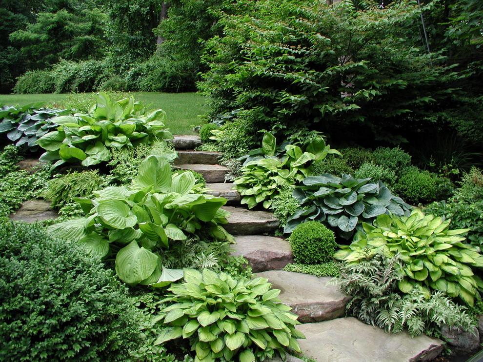 Photo of a contemporary sloped shaded garden in New York with a garden path and natural stone pavers.