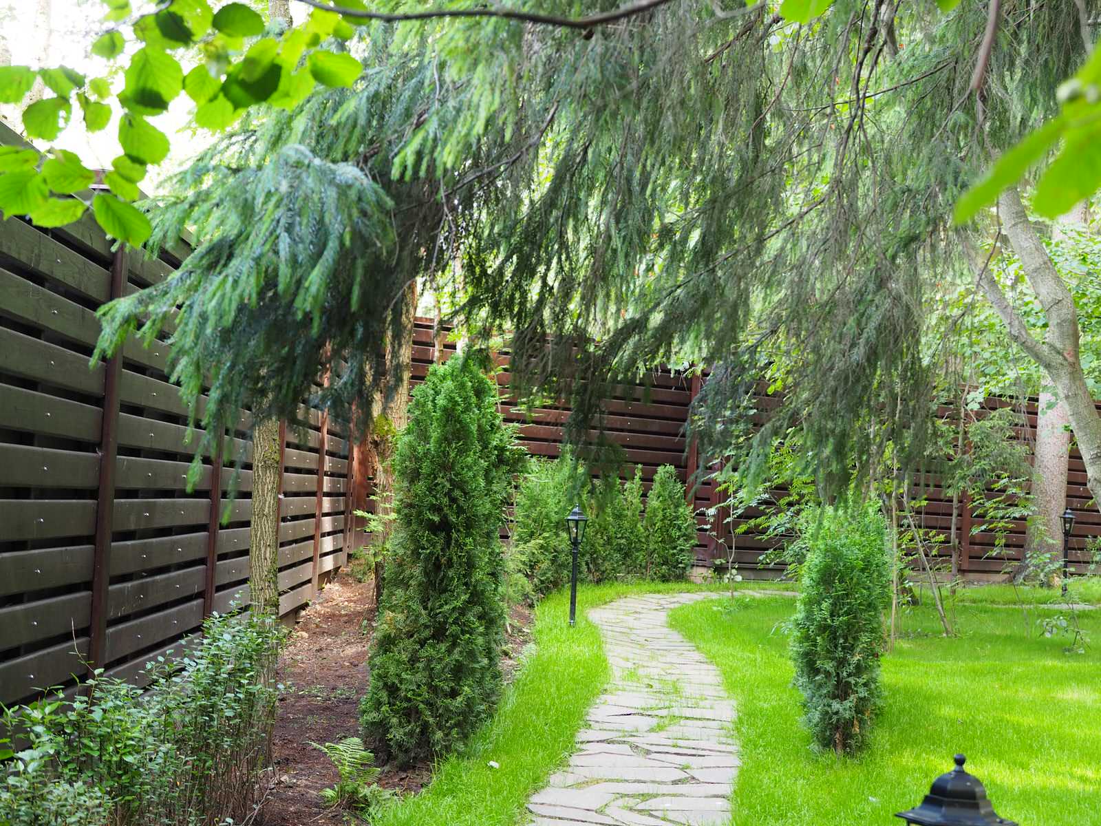 Проект Грибово