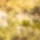 C B