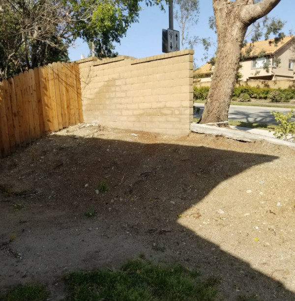 Before/After