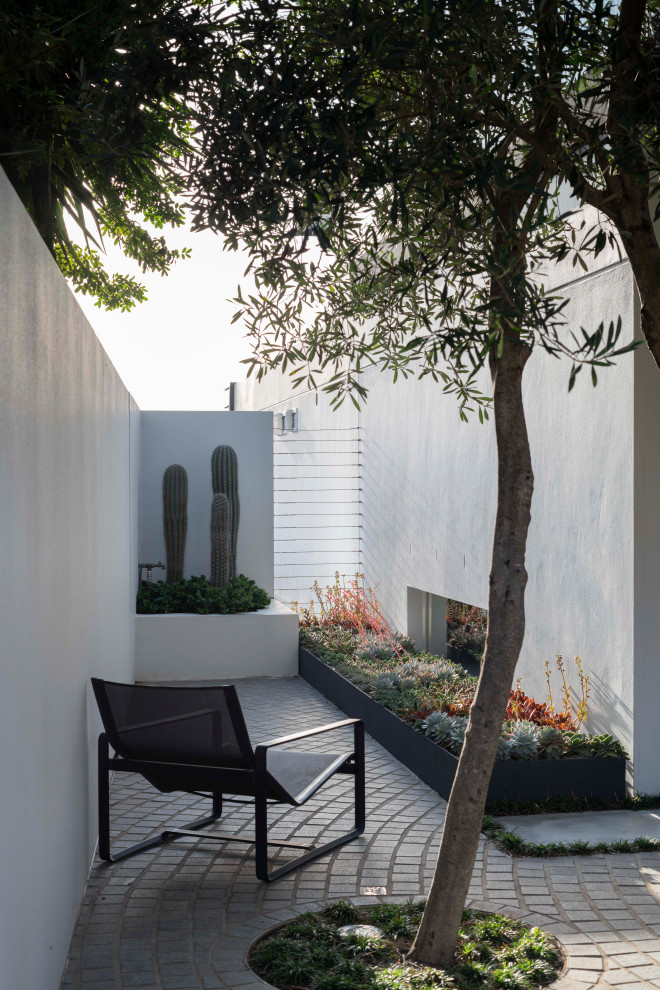 Design ideas for a beach style patio in Sydney.