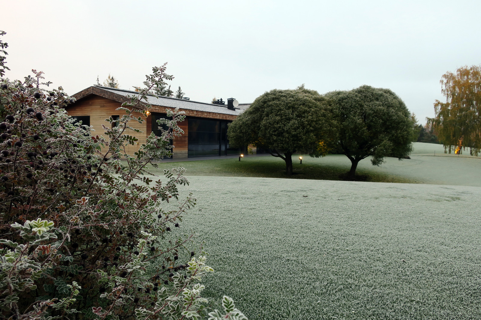 Новый пейзаж