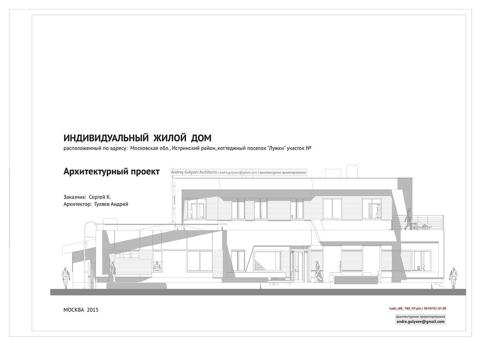 Private house / Luzhki V2