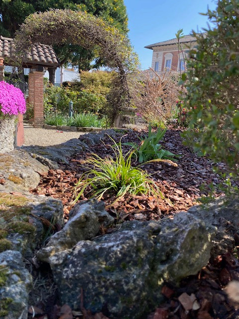 Un giardino roccioso