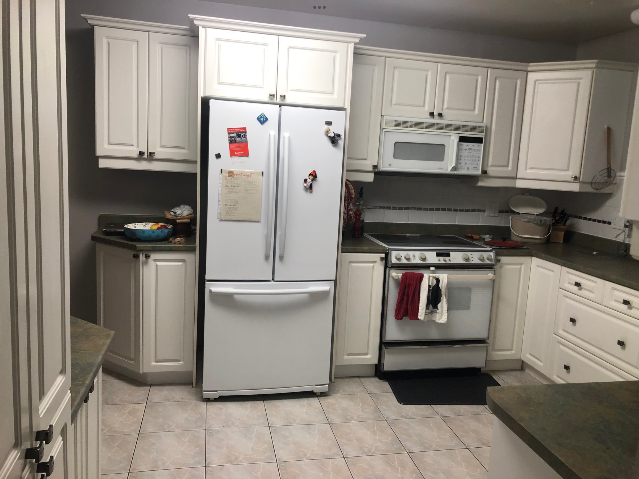 Ottawa kitchen