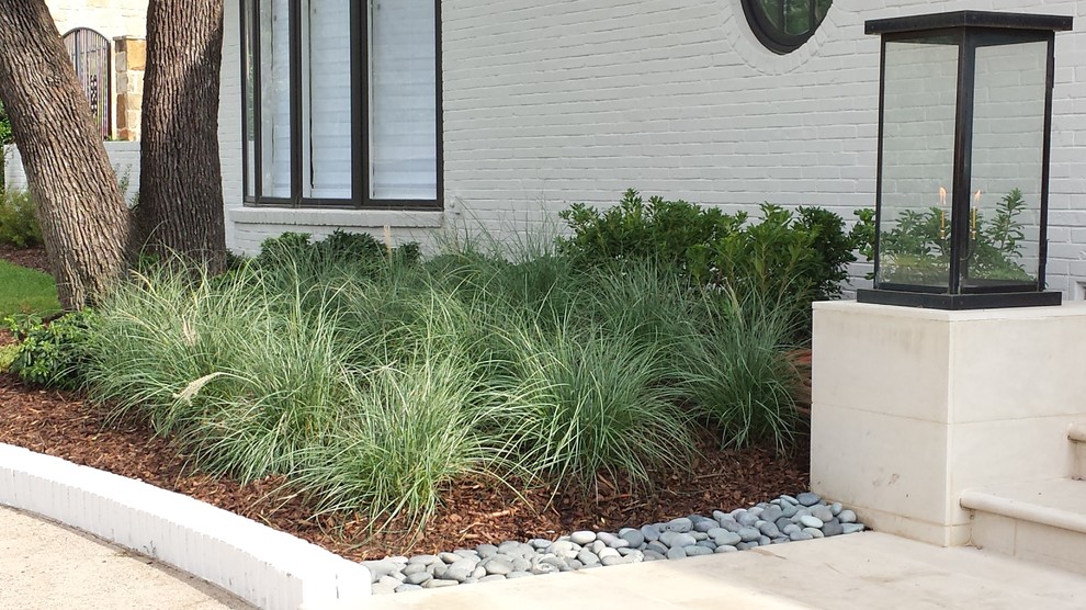 Inspiration for a contemporary front yard partial sun garden in Dallas with gravel.