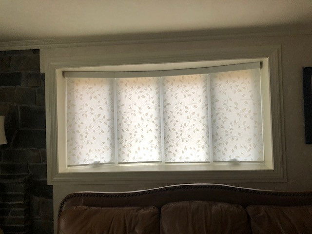 Printed Roller Shades